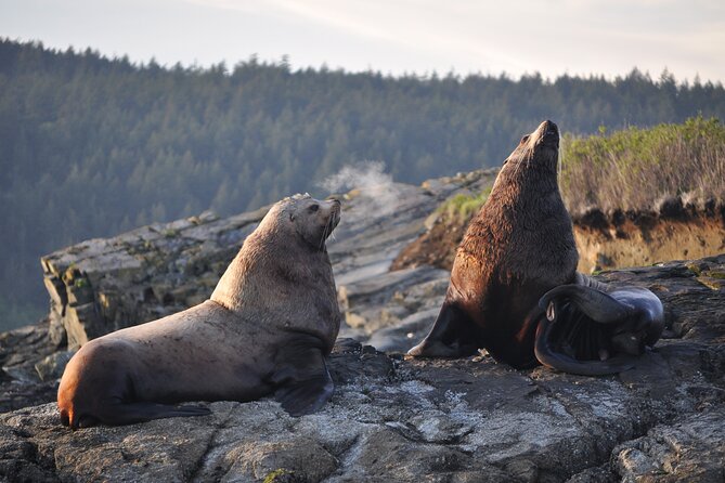 Whale Watching + Deception Pass Tour from Seattle - From downtown Seattle to Deception Pass