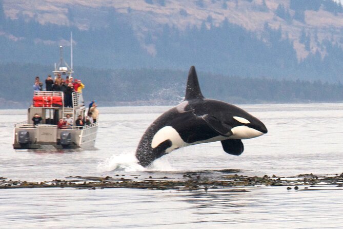 Whale Watching + Deception Pass Tour from Seattle - Two and a half hours at Deception Pass State Park