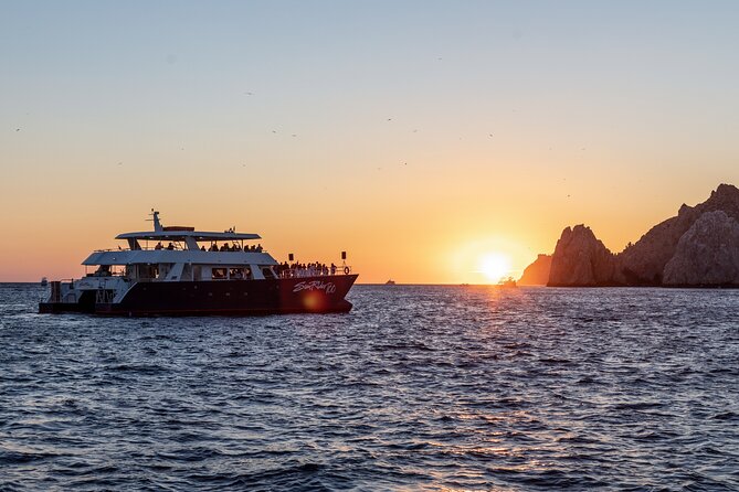 Whale Watching Dinner Cruise in Cabo San Lucas - Whale Watching Around Cabo San Lucas