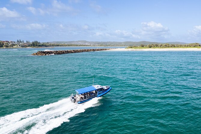 Whale Watching Discovery Tour from Lake Macquarie - What $89.66 gets you