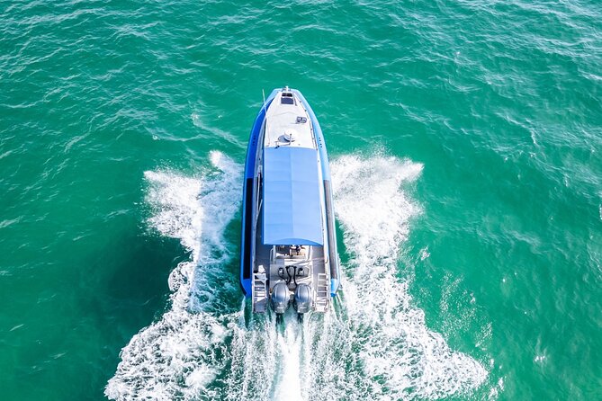 Whale Watching Discovery Tour from Lake Macquarie - Searching for humpback whales near Moon Island