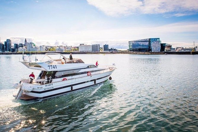 Whale Watching & Dolphin Yacht Cruise - Key points to know before you sail