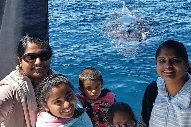 Whale Watching Dunsborough - Who will enjoy this Dunsborough cruise most
