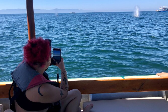 Whale Watching Experience – 4 Hours in Puerto Vallarta - Four hours on Banderas Bay aboard Bruna
