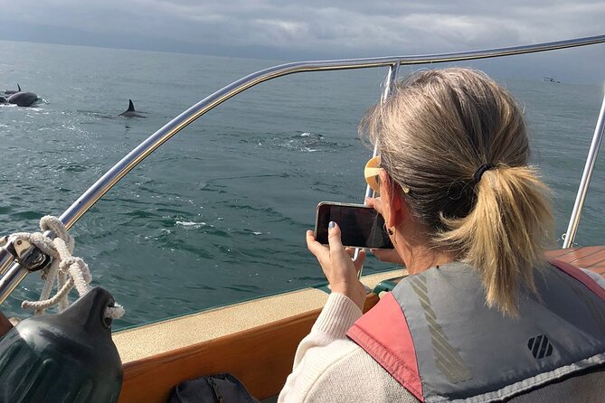 Whale Watching Experience – 4 Hours in Puerto Vallarta - Is $149.44 a fair price?