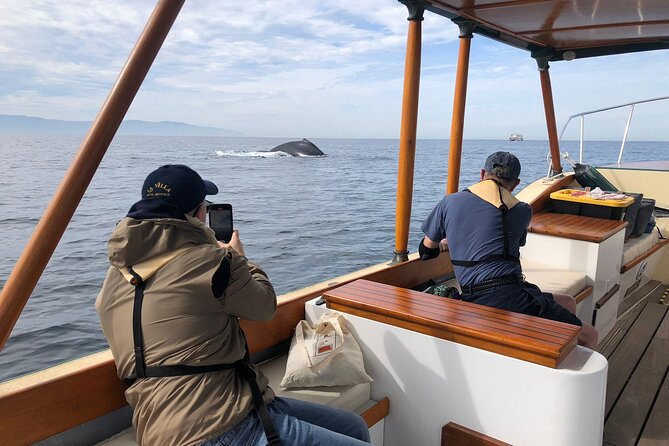 Whale Watching Experience – 4 Hours in Puerto Vallarta - Who will enjoy this whale-watching trip most?