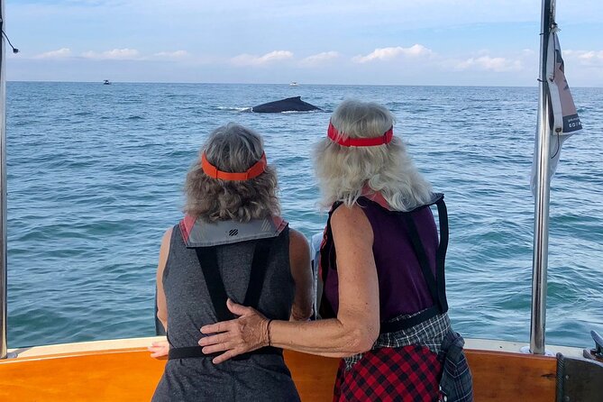 Whale Watching Experience – 4 Hours in Puerto Vallarta - What you may see above and below the water