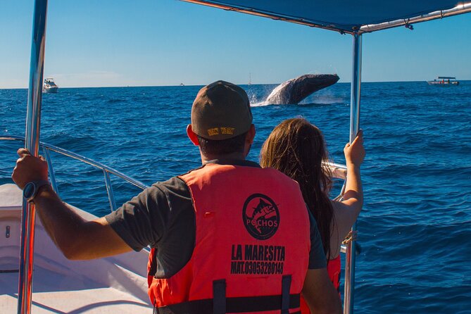 Whale Watching Experience in Cabo San Lucas 2 hours - Whale watching adds a welcome element of chance