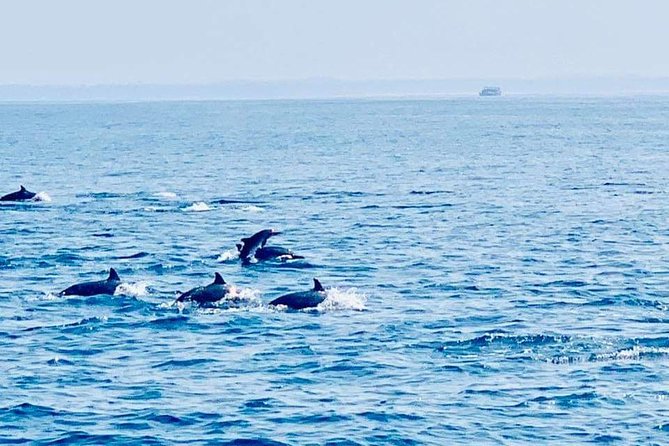 Whale Watching Experience in Mirissa - Stop 1: Mirissa Beach and the harbor departure
