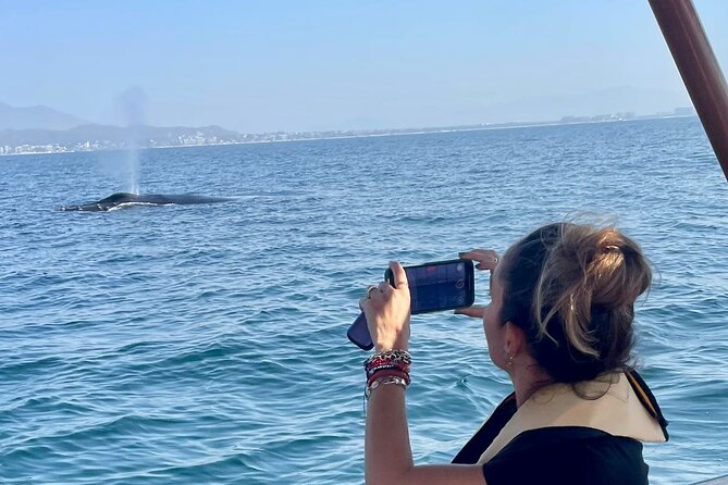 Whale Watching Experience in Puerto Vallarta - Key points to know before booking