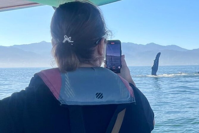 Whale Watching Experience in Puerto Vallarta - Setting out from Los Peines at 9:30 a.m.