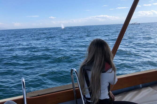 Whale Watching Experience in Puerto Vallarta - Hearing the animals with a hydrophone