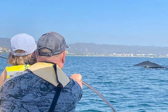 Whale Watching Experience in Puerto Vallarta - A small boat that keeps the outing personal