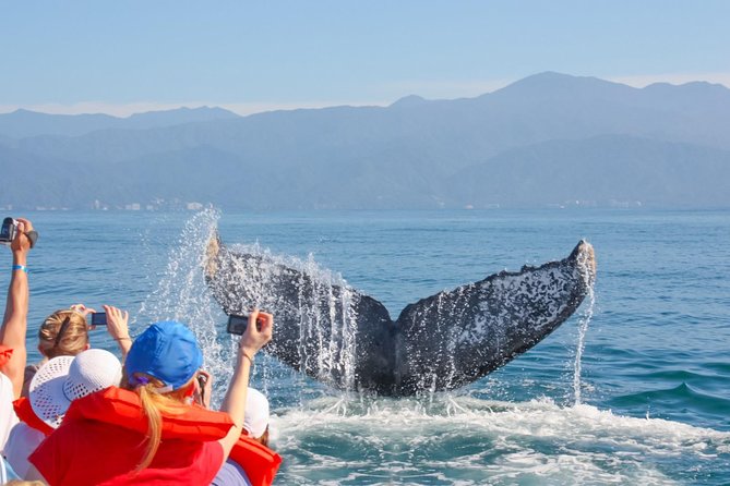 Whale Watching Experience - The first minutes on the raft