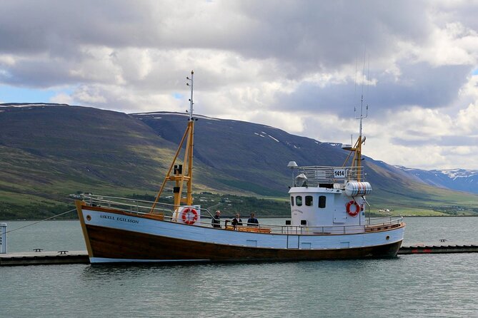 Whale Watching from Akureyri Port - From Akureyri port to the whale boat