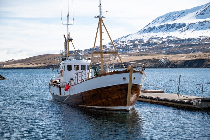 Whale Watching from Akureyri Port - Warm drinks, cookies, and sensible comforts