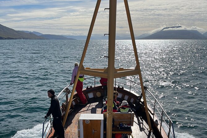 Whale Watching from Akureyri Port - Group size, timing, and cruise-port planning