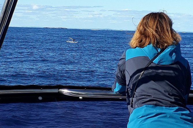 Whale Watching from Augusta in Western Australia - What the crew adds to the experience
