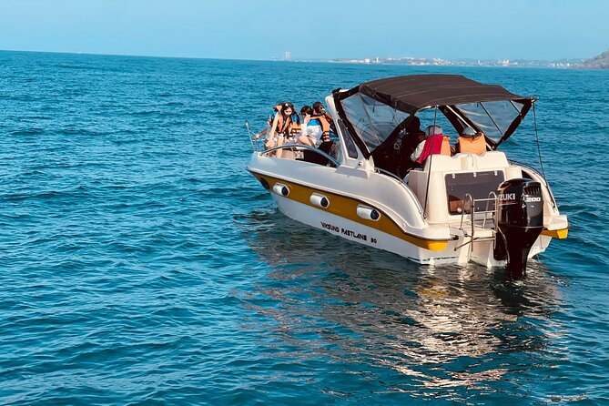 Whale Watching From Colombo - Key points to know before booking