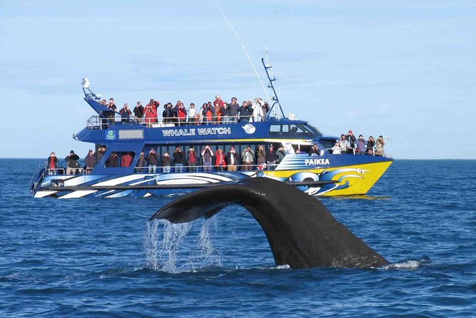 Whale Watching From Colombo - What you see of Colombo at the beginning and end