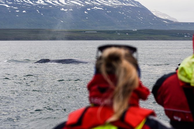Whale Watching from Downtown Akureyri - Indoor comfort, outdoor views, and the onboard café
