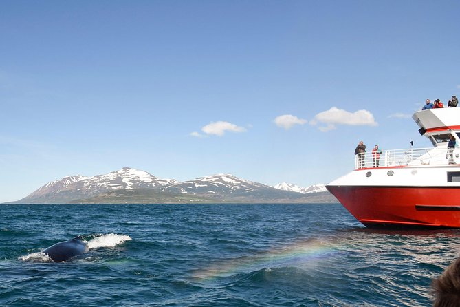 Whale Watching from Downtown Akureyri - The fjord is part of the experience