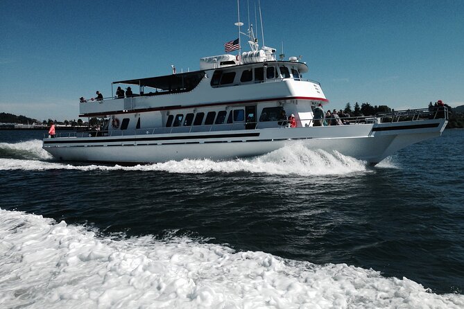 Whale Watching from Friday Harbor - The price and what you receive for $135