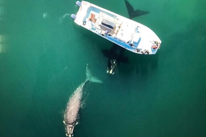 Whale Watching from Gansbaai - Leaving Gansbaai harbor for De Keldar