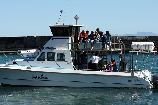 Whale Watching from Gansbaai - What the small boat means for your experience