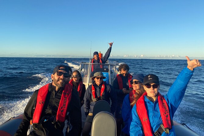 Whale Watching Gold Coast - What the skipper and marine naturalist add