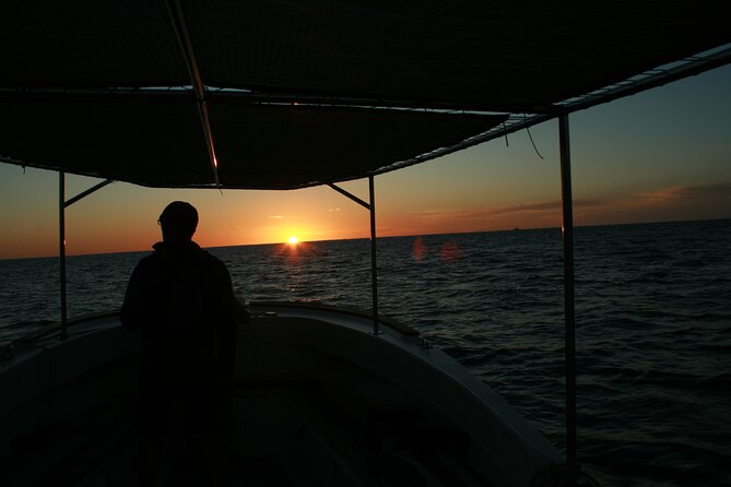 Whale Watching Group Tour in San Jose del Cabo - Who will enjoy this outing most