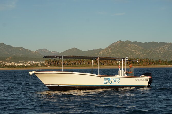 Whale Watching Group Tour in San Jose del Cabo - The hydrophone changes how you experience the whales