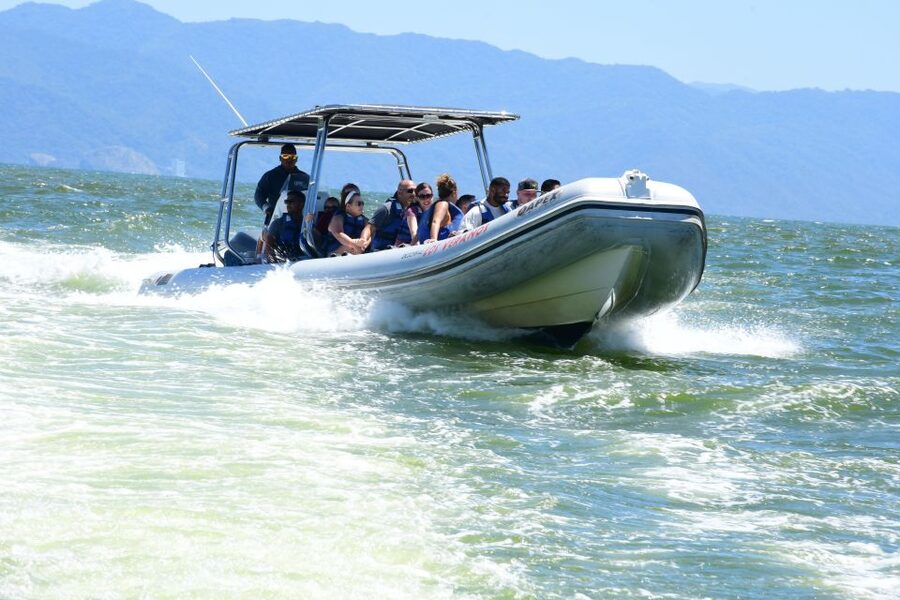 Whale Watching Guaranteed Experience in Puerto Vallarta - Key points before you book