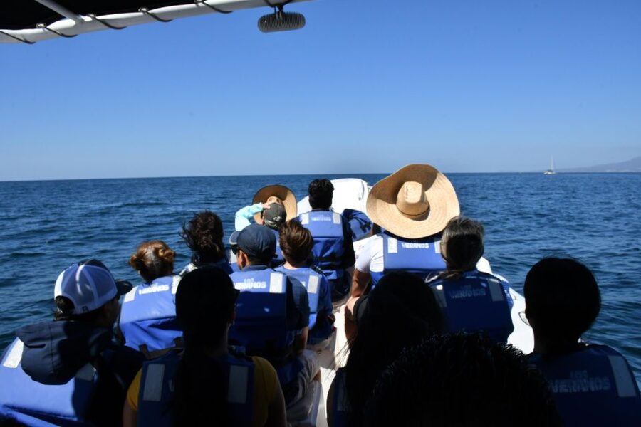 Whale Watching Guaranteed Experience in Puerto Vallarta - Setting out from Puerto Vallarta or Nuevo Vallarta