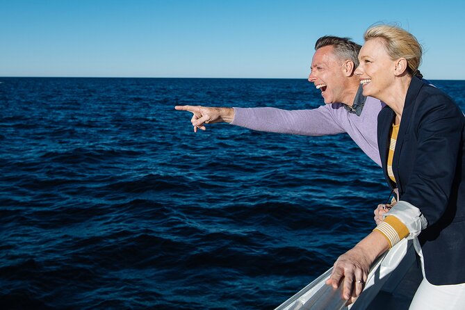 Whale Watching & Hop On Hop Off Sydney Harbour Explorer Cruise - What whale watching is really worth
