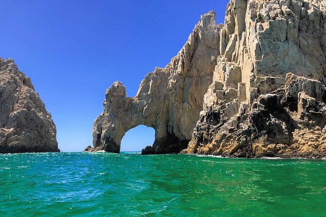 Whale Watching in Cabo: 2-Hour Small Group Tour to The Arch - Should you book it?