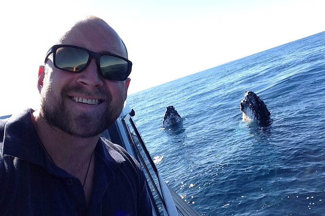 Whale Watching in Coffs Harbour - The best time to go from June through October