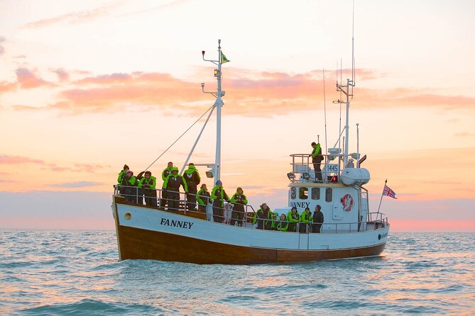 Whale Watching in Husavik - The Whale Museum makes a sensible follow-up