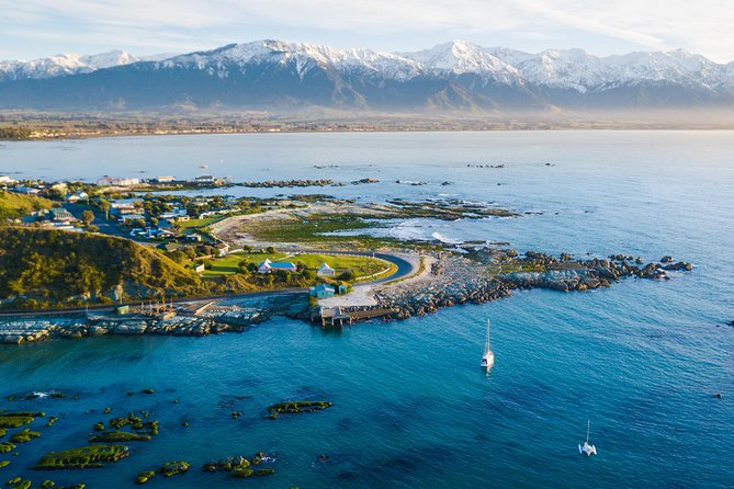 Whale Watching in Kaikoura by Boat - Is $111.39 a fair price?