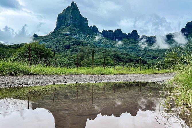 Whale watching in Moorea - The lagoon stop gives the morning a second act