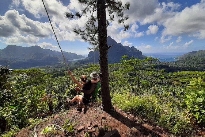 Whale watching in Moorea - What the $194.34 price buys you
