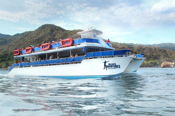 Whale Watching in Puerto Vallarta - Why Banderas Bay is the right place for whale watching