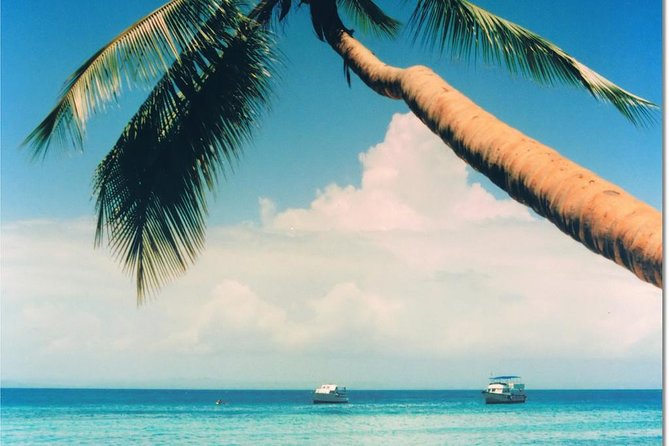 Whale Watching in Samana - The Cayo Levantado pause after the whales