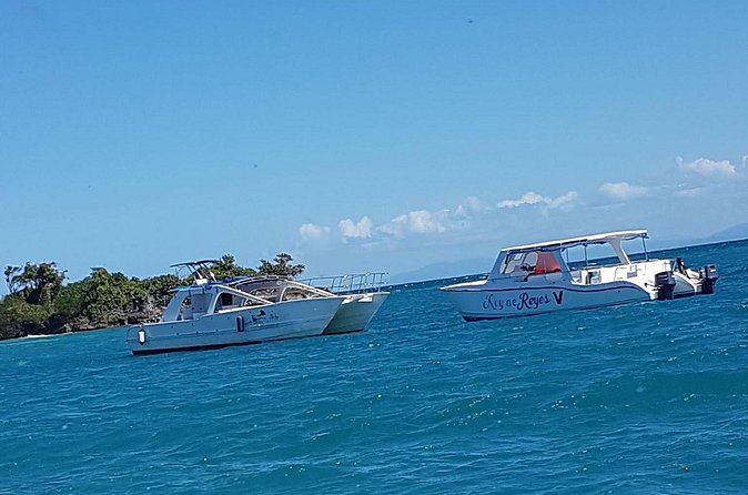 Whale Watching in Samana - The real cost: time, comfort, and convenience