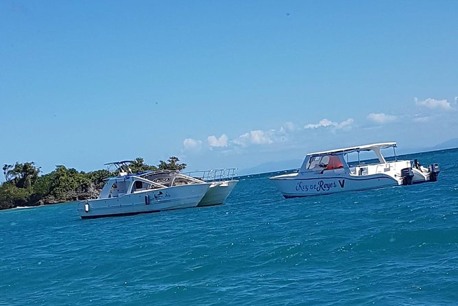 Whale Watching in Samana - Practical advice for a smoother day
