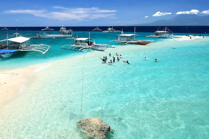 Whale Watching in Sumilon Island with Ocean View Resort and Lunch - Key points before you book