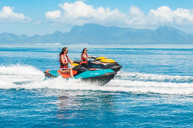 Whale watching in the calm of the peninsula with Tātahi tours - Fenua Aihere, Tahiti’s Roadless Coast