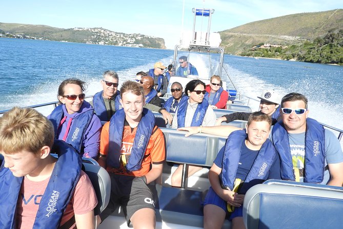 Whale Watching Knysna - Close Encounter Experience Ocean Odyssey - Dolphins, seals, and birdlife add variety