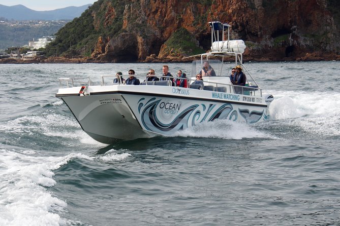 Whale Watching Knysna - Close Encounter Experience Ocean Odyssey - Is $94.90 good value?