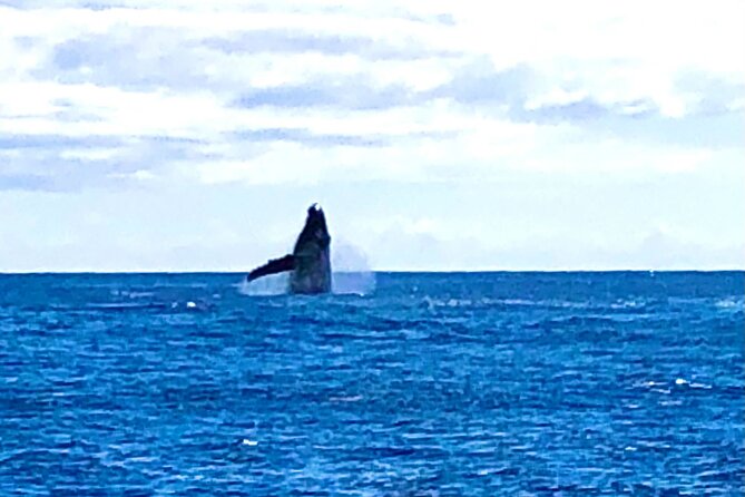 Whale Watching & Late Breakfast Cruise in Honolulu - The boat, upper deck, and motion on the water